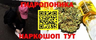 СК Абакан