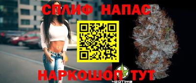 СК Абакан