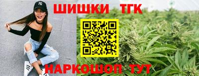 СК Абакан