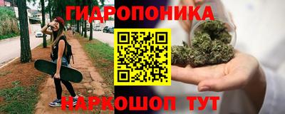 СК Абакан