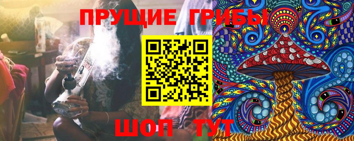 Алатырь  Псилоцибиновые грибы Psilocybine cubensis  Галлюциногенные грибы мухоморы  Вход с VPN 